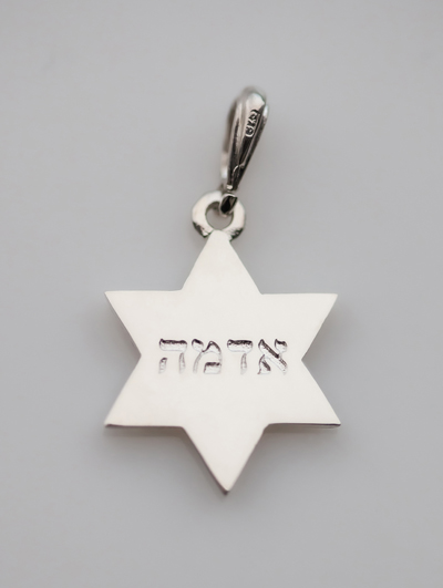 Jewish Silver Star of David Earth Jewelry