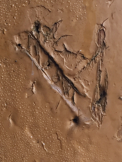 MEZUZAH <br /> CHMIELNIK <br /> UL. SIENKIEWICZA 12