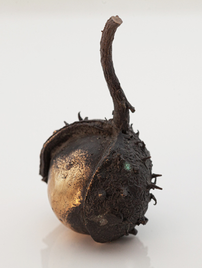 Chestnuts in bronze 2
