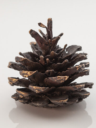 Cones in bronze 2