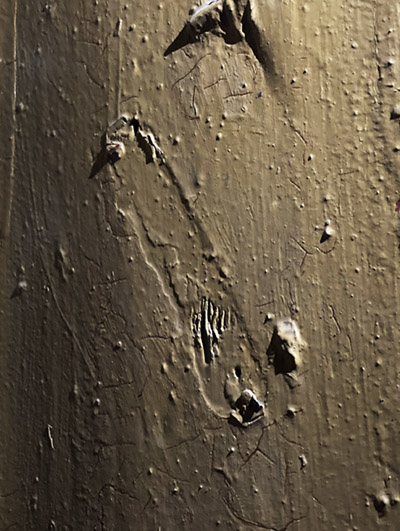 MEZUZAH <br /> Kielce <br /> PLAC WOLNOŚCI 3