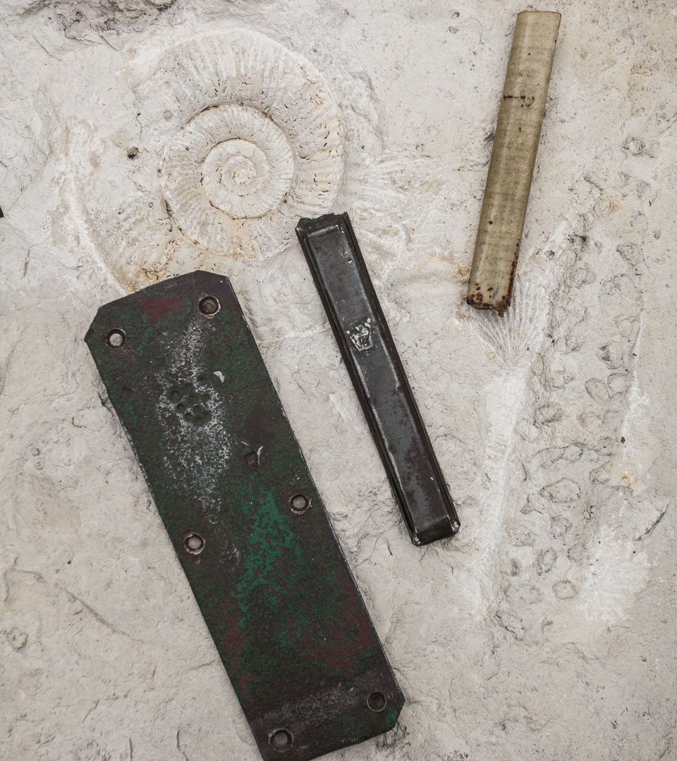 Original mezuzah case and the mezuzah scroll found in Żarki