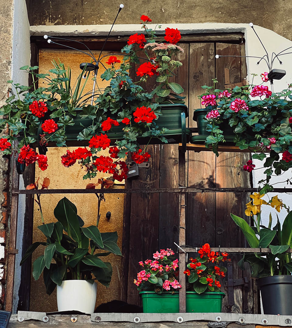 Located in the historic region of Masovia, Skierniewice dates back to the medieval period. It prospered as a local trade center with annual fairs and engaged in domestic and international trade. In the 17th and 18th centuries it hosted the residence of the Primates of Poland, and was home of leading Polish Enlightenment poet Ignacy Krasicki.