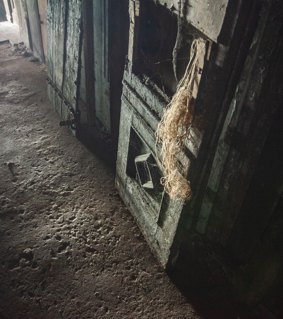 An abandoned tenement building in downtown Łódź. Here, in the old basements, traces of a mezuzah were found—a sign of a Jewish presence.